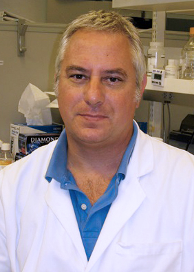 NYU medicine and pathology professor Dr. Greg Silverman.
