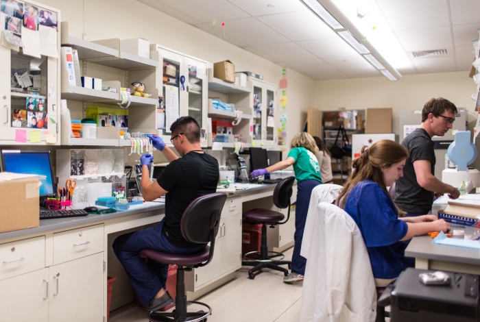 Researchers in a lab in Denver.