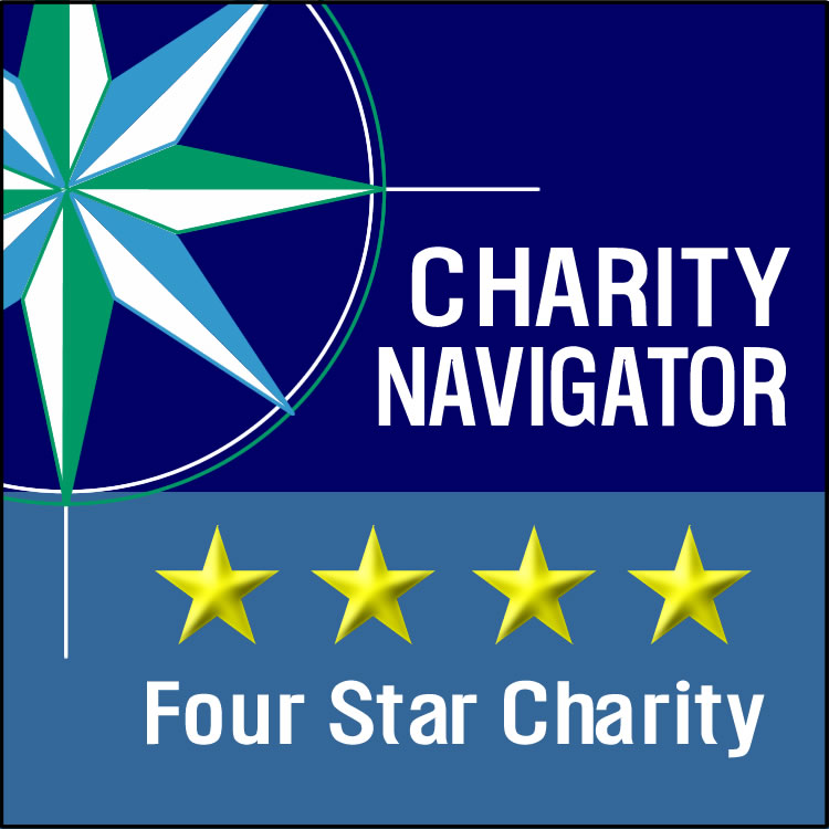 Rheumatology Research Foundation Earns 4-Star Rating from Charity Navigator For 12th Consecutive Year