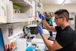 Rheumatology researcher in the lab at the University of Colorado Denver.